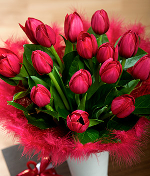 Flirty Tulips SDFLTU