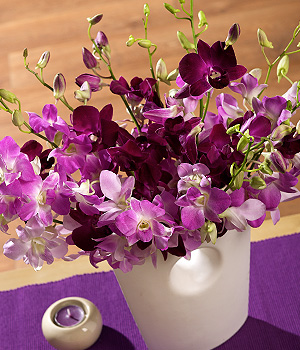 Bunches.co.uk Orchid Medley FOMX