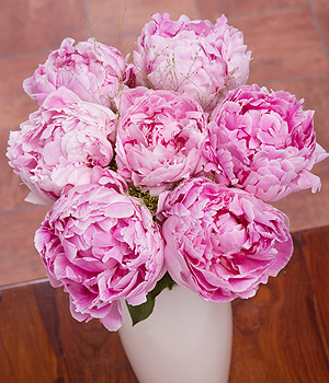 Bunches.co.uk Pink Peonies FPEO