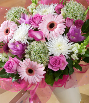 Bunches.co.uk Pink Sapphire SDSAPP