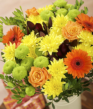 Bunches.co.uk Safari Sunset FSSET