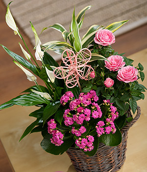 Bunches.co.uk Summer Flower Basket PSUMB