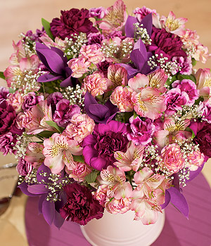 Bunches.co.uk Sweet Cherry XL FERRYX