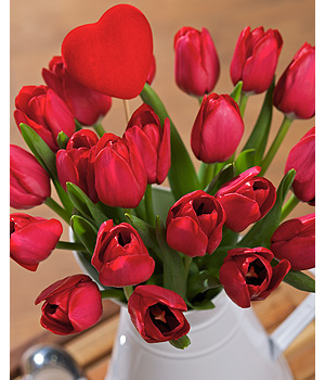 Bunches.co.uk Tulip Passion SDRT