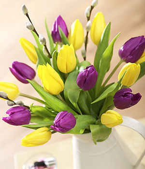 Bunches.co.uk Tulips with Pussy Willow FTUPW