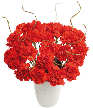 Bunches Festive Bouquet XL