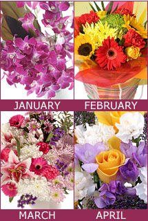 Bunches Flowers for a Year