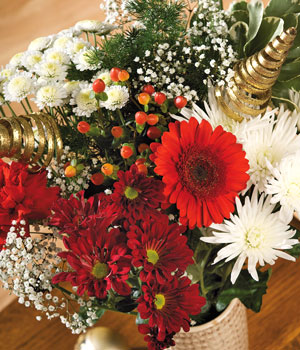 Bunches Jingle Berry