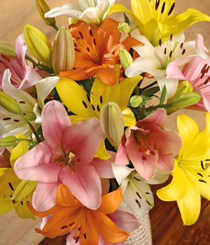 Bunches Luxury Lilies