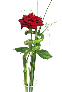 Bunches Single Red Rose