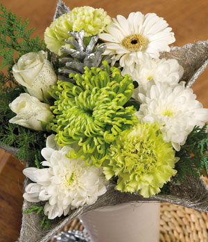 Bunches Star of Wonder