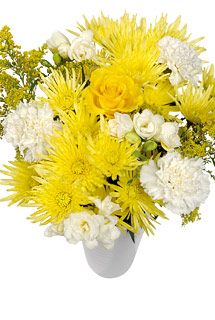 Bunches Summer Meadow