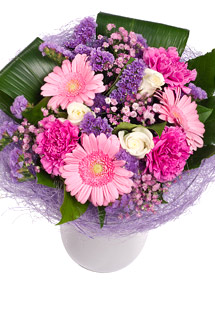 Bunches Sweet Dreams