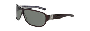 Burberry 8455s Sunglasses