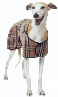 Burberry Classic Check - 55cm (22")