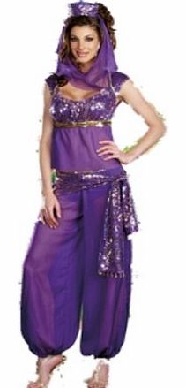 Ladies Belly Dancer Genie Princess Jasmine Aladdin Arabian Nights Adult Fancy Dress Costume (12 - 14, Purple)