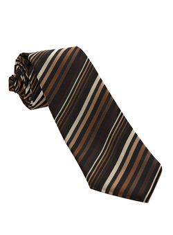 Brown Multi Stripe Tie