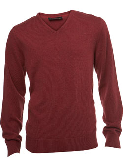 Light Burgundy Plain V-Neck Jumper