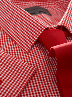 Burton Red Gingham Slim Shirt With Tie