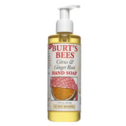 Burts Bees Citrus and Ginger Root Liquid