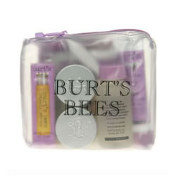 Burts Bees Healthy Treatment Kit