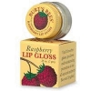 Burt`s Bees Lips - Lip Gloss  Raspberry  7gr