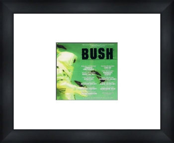 BUSH UK Tour 1999 - Custom Framed Original Ad