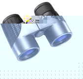 Bushnell 8x42 H2O Roof Prism Waterproof Binoculars