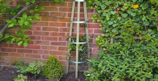 Buttercup Farm Half Round Obelisk