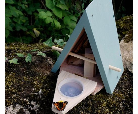 Butterfly Biome - Habitat and Feeder