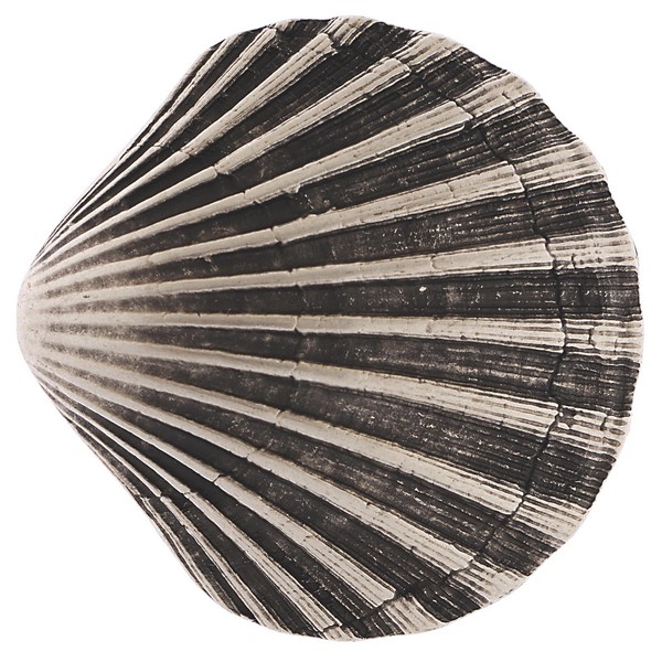 Butterfly Blue Silver Seashell Belt Buckle by