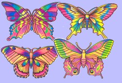 Butterfly - 16inch cutout