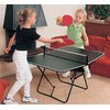 BUTTERFLY Family Table Tennis Table (1300111)