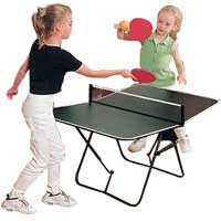 Butterfly Family Table Tennis Table