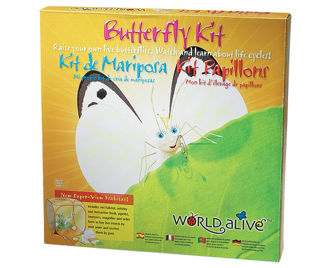 Butterfly Insect Kit