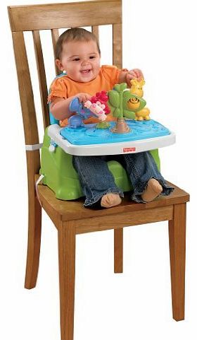 Buy-Baby Fisher-Price Discover n Grow Busy Baby Booster Baby, NewBorn, Children, Kid, Infant