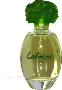 Eau de Toilette Spray 100ml