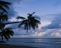 Cairns by Night - Small Group Tour - Child