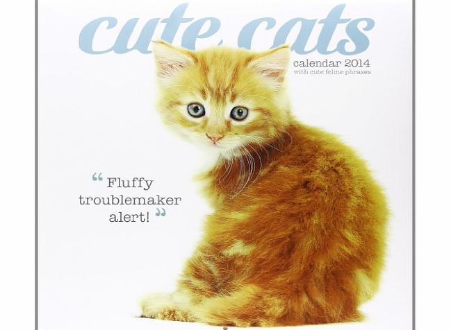 Calendar Cute Cats W (Calendar 2014)