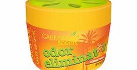 California Car Scents California Scents Odour Eliminator