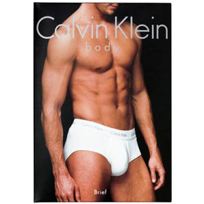 Calvin Klein Body Brief, White, Medium