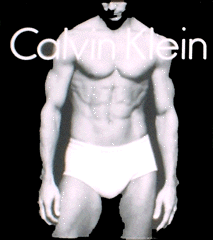 Calvin Klein - Brief Slip