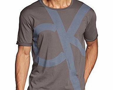 Mens Crew Neck Short Sleeve T-Shirt - Grey - Grau (MAGNET-PT 739) - Large
