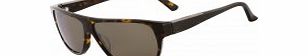 Calvin Klein Mens CK7906SP Brown Havana Sunglasses