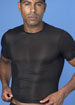 Sheer short sleeve crew