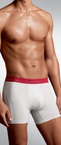 Calvin Klein Underwear Calvin Klein Pro Stretch Boxer Brief