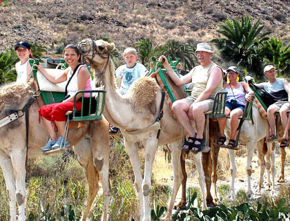 Camel Park Arteara from Playa Del Ingles