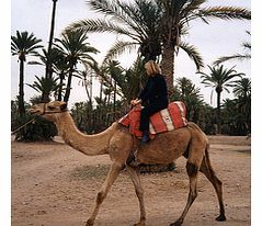 Camel Ride in Marrakech Palmeraie - Child