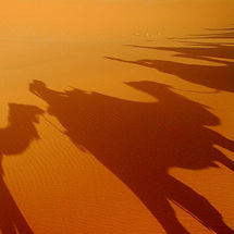 Camel Ride to the Souss Estuary - Adult