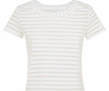 Cameo Rose White Mesh Stripe T-Shirt 3236537
